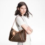 【ルイヴィトン】累積売上総額第１位·Carry Allキャリーオール NM PM - 画像 (6)